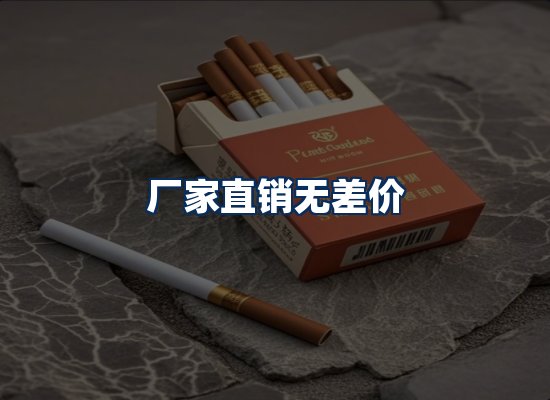 专业团队办公环境